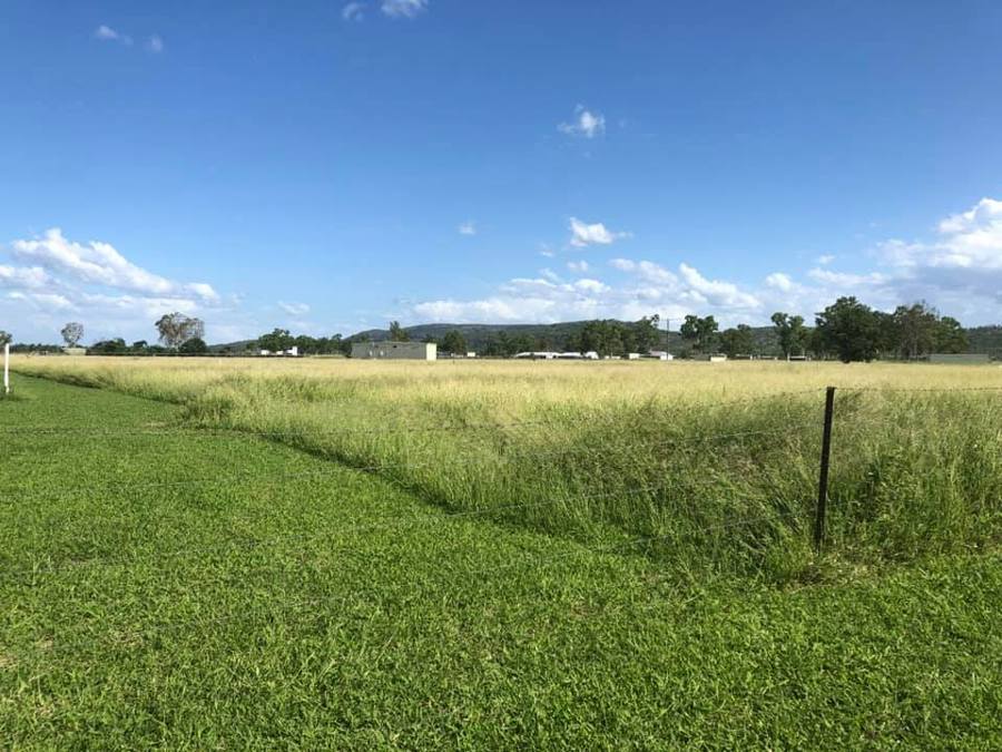 Bowen River Rodeo and Campdraft