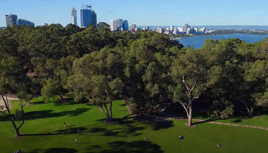 Kings Park Wildflower Festival - Perth