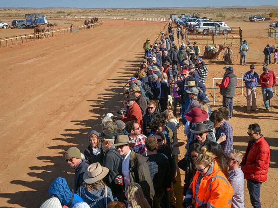 The Marree Camel Cup
